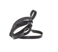 INA V-Ribbed Belt - Part No - FB6PK2175