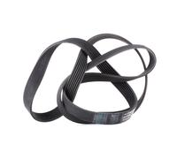 INA FB 7PK1795 Serpentine belt