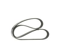 INA FB5PK1810 Ribbed V- Drive Belt for Hyundai Kia NEW