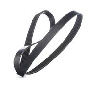 INA FB6PK1310 6 Rib V-Ribbed Drive Belt Fits Fiat Ford Vauxhall