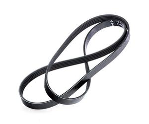 INA FB6PK1767 6 Rib V-Ribbed Drive Belt Fits Ford Porshce VW
