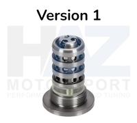 INA 427 0037 10 Camshaft adjustment valve