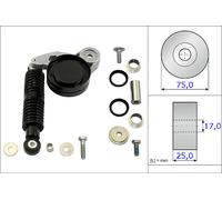 V-belt tensioner repair kit 533 0118 10 INA for AUDI VW SKODA