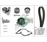 INA Schaeffler 530 0480 30 Water Pump Fits Audi A4 A6 A8 06C109119C