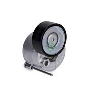 INA Tensioner For VW Crafter T6 Multivan Transporter Bus MAN TGE 2.0 TDI