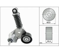 INA Belt Tensioner 534 0169 10 – Multi-ribbed V-belt for Ford Jaguar