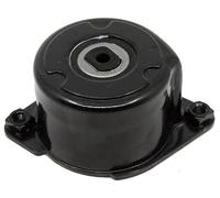 INA 534 0170 10 Tensioner Lever, v-ribbed belt