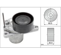 INA 534 0624 10 Tensioner Lever, v-ribbed belt