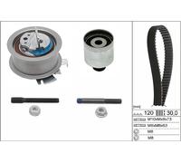 INA 530 0201 10 Timing Belt Kit, Black