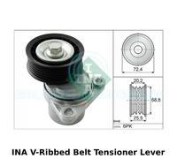 INA V-Ribbed Belt Tensioner Lever, Auxiliary, Drive - 534 0326 10 - OE Quality