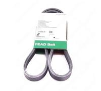INA V Ribbed Drive Fan Belt Fits Seat Alhambra VW Transporter Caddy FB6DPK1215