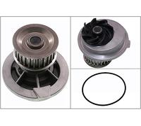 INA Water Pump - Part No - 538013110