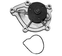 INA Water Pump - Part No - 538046610