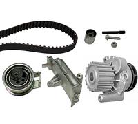 INA 530 0090 30 Water pump and timing belt kit
