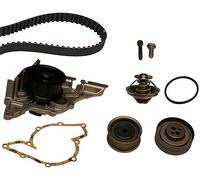 INA 530 0161 30 Water pump and timing belt kit
