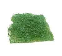INACMWIH Flower Grass Tuft Model Railway Artificial Grass for Miniature Scenery Decor Type A