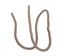 INACMWIH Reptile Vines Fake Plants Amphibians Vine for Leopard Gecko Chameleon Type A