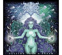 Inanimate Existence – Calling From a Dream