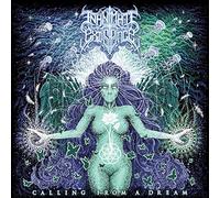 Inanimate Existence - Calling From a Dream