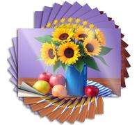 Inappropriate Stickers Floral and Fruit Still Life Composition Stickers 10Pcs Funny Stickers for Cars Sticker Box(8X12CM)