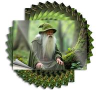 Inappropriate Stickers Forest Wizard in Green Robe Stickers 10Pcs Funny Stickers for Cars Sticker Box(8X12CM)