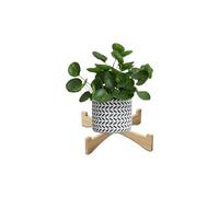 INCAUCA Single Wood Plant Stand Indoor, Mini Modern Wooden Plant Stool Fit for 5 Inch Pot, Decorative Flower Pot Stand Risers Holder for Desk Outdoor Table Top Desktop Decor