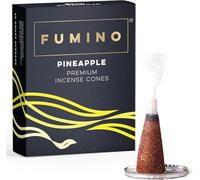 Incense Cones Pineapple 15 Pack - Handmade Natural, Long Burn Low Smoke | Fumino Room-Filling Home Fragrance for Meditation, Non-Toxic, 25 Min per Cone, Hand-Rolled Natural Masala