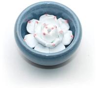 Incense Holder for Sticks, Ceramic Handicraft Incense Burner Bowl, Coil Lotus Ash Catcher Tray 2.37'' (Sky Blue)