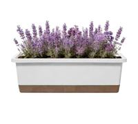 -Inch Self Watering Plant Pot - Rectangular Tomato Planting Container with Drainage Hole & Absorbent Rope | Large Vegetable Planter for Strawberry, Flowers & Cuttings | Indoor & Outdoor Garden Pot