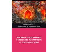 INCIDENCIA DE LOS INCENDIOS DE 2025 EN EL PATRIMONIO DE LA PROVINCIA DE LEÓN