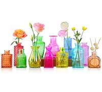 Incisite 12 Pack Glass Bud Vases, Colorful, Mini, Vintage