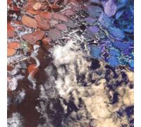 Inclusion Principle - The leaf factory fallback