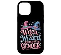 Inclusive Witch Or Wizard Keeper Of The Gender Genderfluid Case for iPhone 12 Pro Max