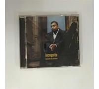 Incognito - Beneath the Surface