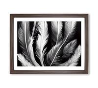 Inconceivable Bird Feathers Framed Print | A3 Walnut Framed Wall Art | Ready to Hang | Modern Nature Picture | Living Room Bedroom Lounge Office