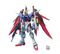 Inconnu Noname Gundam MG Destiny Gundam 1/100 Model Kit Black