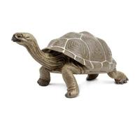 Incredible Creatures 260729 Galapagos Adult Tortoise figure Safari 60729