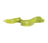 Toob Moray Eel