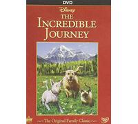 Incredible Journey [DVD] [1963] [Region 1] [US Import] [NTSC]