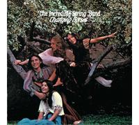 Incredible String Band - Changing Horses