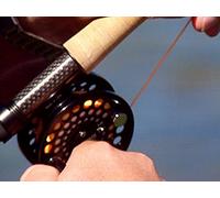 Incredible Trout Fishing in the Eastern Sierras- Part 1