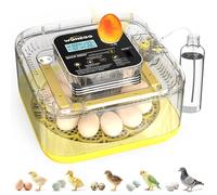 Incubator for Hatching Eggs, 12 Eggs Incubator with Automatic Egg Turning, Temperature & Humidity Control, LED Egg Candler, Incubation Days Display, for Chicken, Duck, Quail, Parrot Bird Eggs