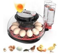 Incubator for Hatching Eggs-Eggs Capacity, Auto Egg Turner & New Auto Precision Humidity Control System, 360° Clear Viewing for Chicken, Duck and Quail (Black)