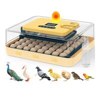 Incubators for Hatching Eggs, 56 Eggs Incubator with Egg Candler, Auto Egg Turner, Temp & Humidity Control, Hatch Day, 360° Viewing for Chicken, Duck, Quail, Snake Eggs, Ideal for Farm, School and Lab