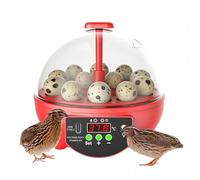 Incubators for Hatching Eggs | 6-Slot Small Candler - Clear Window Quail Incubator with Automatic Temperature and Humidity Control | for Chicken Duck Quail Bird Farm