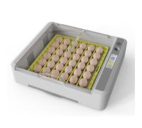 Incubators For Hatching Quail Eggs With Automatic Flip And Temperature Control, Chick Incubator Easy To Clean And Operate , Small Egg Incubator Suitable For Breeding Plants,36