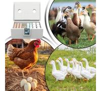 Incubatrice Per Pulcini, Automatico Intelligente Incubatrice Per Uova Di Gallina for Poultry Farming,Chicken Incubator High Hatching Rate