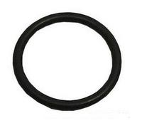 Indesit - Gold (23,81x2,62) Seal for Indesit Dishwasher bvmpièces
