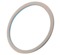 Indesit Rear Drum Felt Seal - C00113823