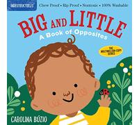 Indestructibles: Big and Little: A Book of Opposites